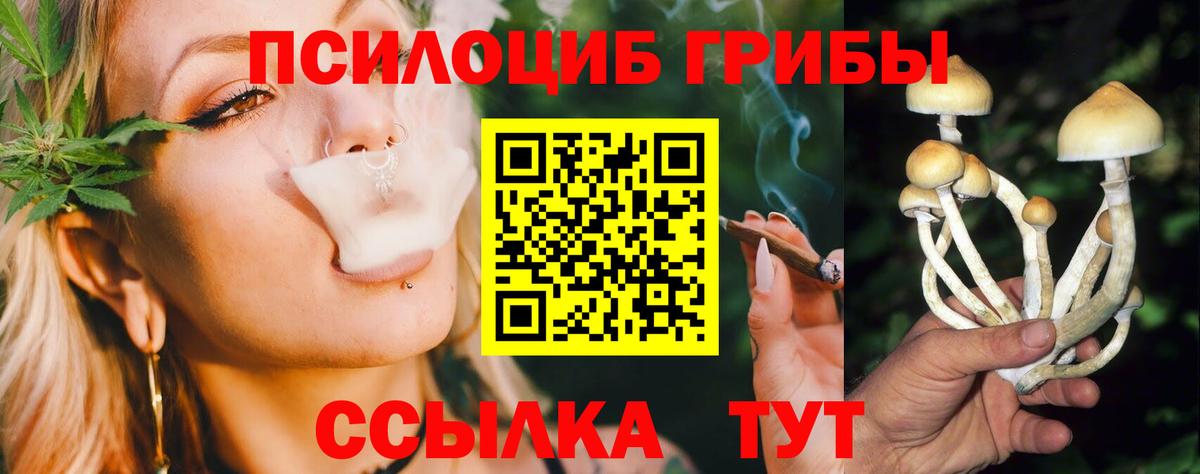 Псилоцибиновые грибы Cubensis Пермь